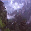 --03_jpga-03.jpg (96625 bytes)