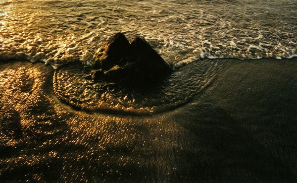 ../Images/newfile-04.jpg