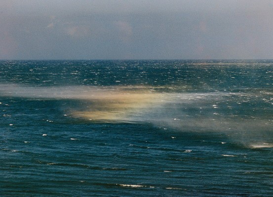 ../Images/newfile-11.jpg