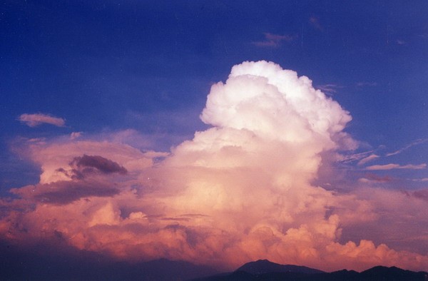 ../Images/newfile-22.jpg