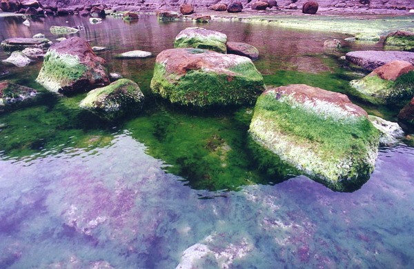 ../Images/newfile-26.jpg