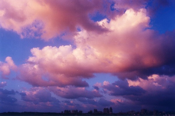../Images/newfile-29.jpg