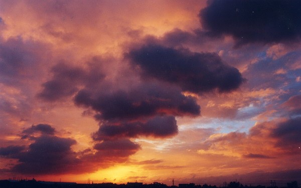 ../Images/newfile-30.jpg
