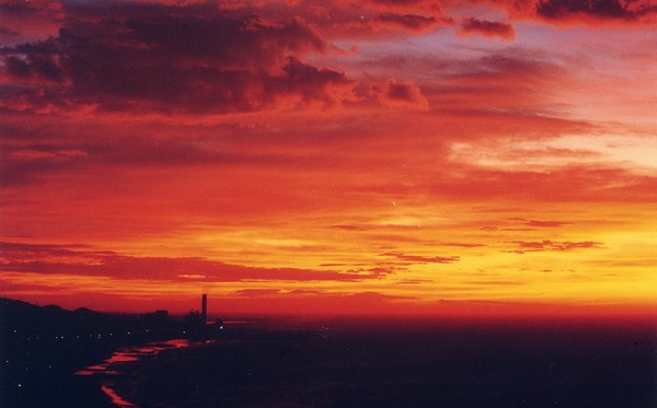../Images/newfile-34.jpg
