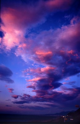 ../Images/newfile-41.jpg