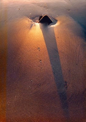 ../Images/newfile-42.jpg