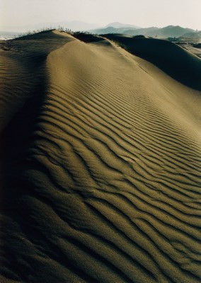 ../Images/newfile-43.jpg