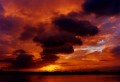Thumbs/tn_newfile-01.jpg