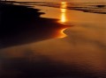 Thumbs/tn_newfile-03.jpg