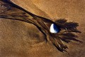 Thumbs/tn_newfile-05.jpg