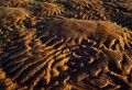Thumbs/tn_newfile-06.jpg