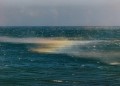 Thumbs/tn_newfile-11.jpg