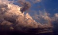 Thumbs/tn_newfile-14.jpg