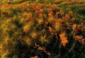 Thumbs/tn_newfile-18.jpg