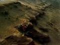 Thumbs/tn_newfile-20.jpg