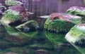 Thumbs/tn_newfile-25.jpg