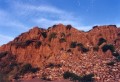 Thumbs/tn_newfile-31.jpg