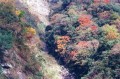 Thumbs/tn_newfile-32.jpg