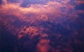 Thumbs/tn_newfile-37.jpg