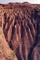 Thumbs/tn_newfile-39.jpg