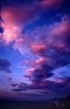 Thumbs/tn_newfile-41.jpg