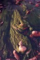 Thumbs/tn_newfile-44.jpg