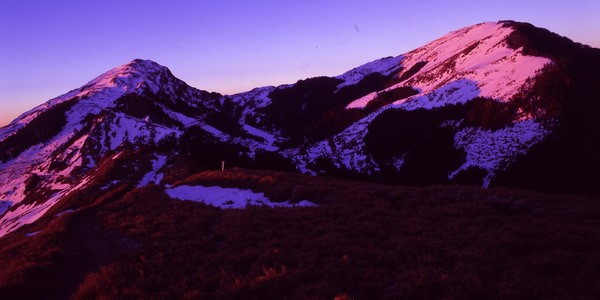 ../Images/newfile_12-03.jpg