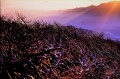 Thumbs/tn_newfile_12-06.jpg