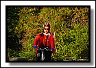 DSC_0686.jpg