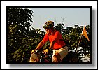 DSC_0690.jpg