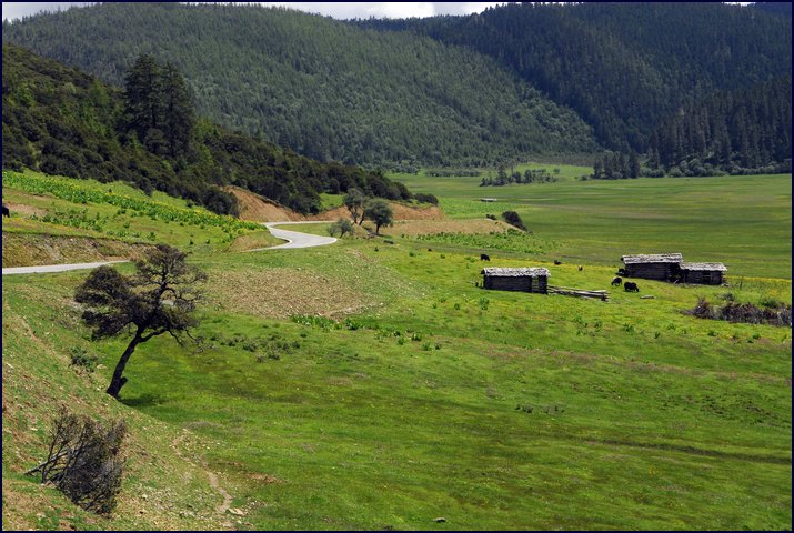 808-08.jpg
