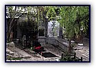 806-05.jpg