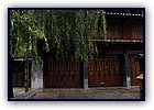 806-11.jpg