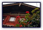 806-22.jpg