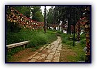 806-25.jpg