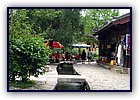 806-46.jpg