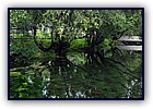 806-50.jpg