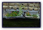806-56.jpg