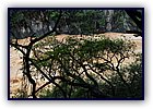 807-04.jpg