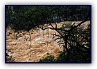 807-05.jpg