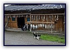 807-14a.jpg