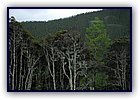 808-12.jpg