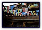 808-25.jpg