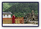 808-27.jpg