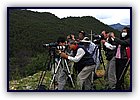 808-33.JPG