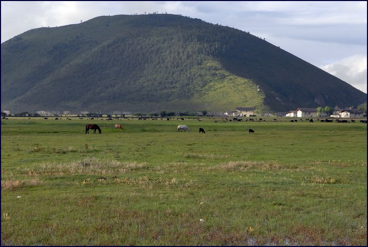 809-01.jpg