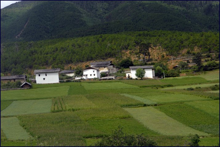 809-19.jpg