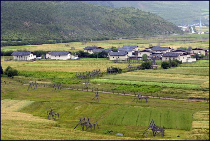 810-06.jpg