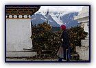 809-43.jpg