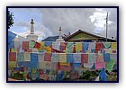 809-46.jpg